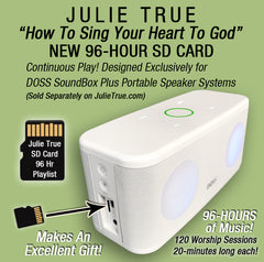 Julie True - How To Sing Your Heart To God - New 96-Hour SD Card
