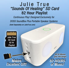 Julie True 82-Hour SD Card - All Songs, All Albums